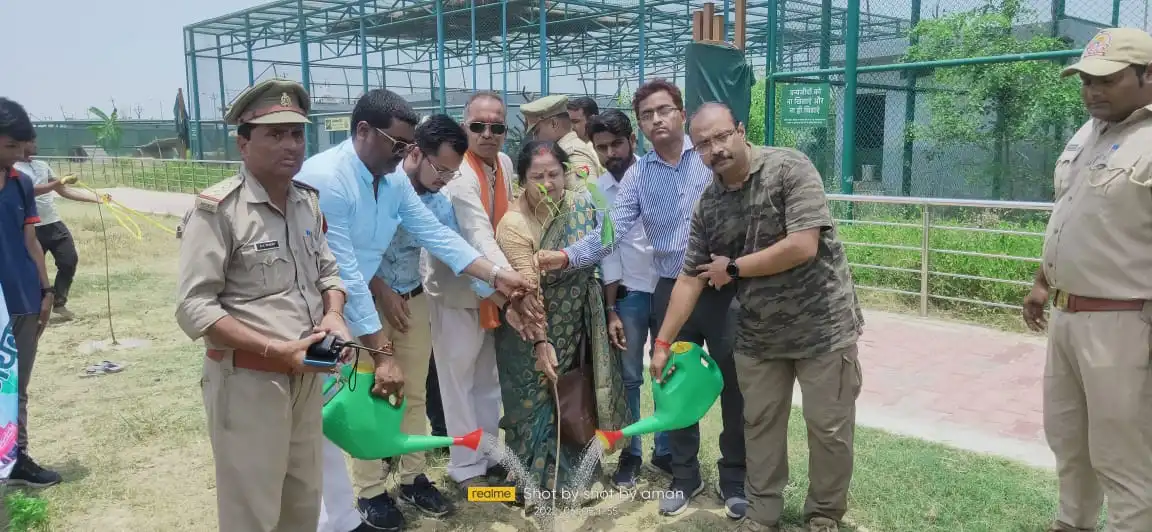 Tree Plantation and Shramdaan